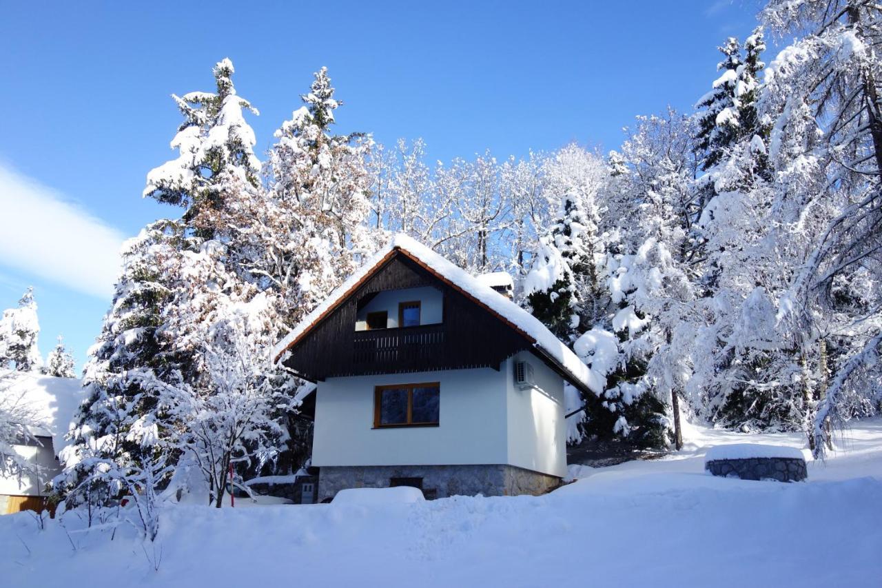 Forest House Villa Vrhnika Exterior photo